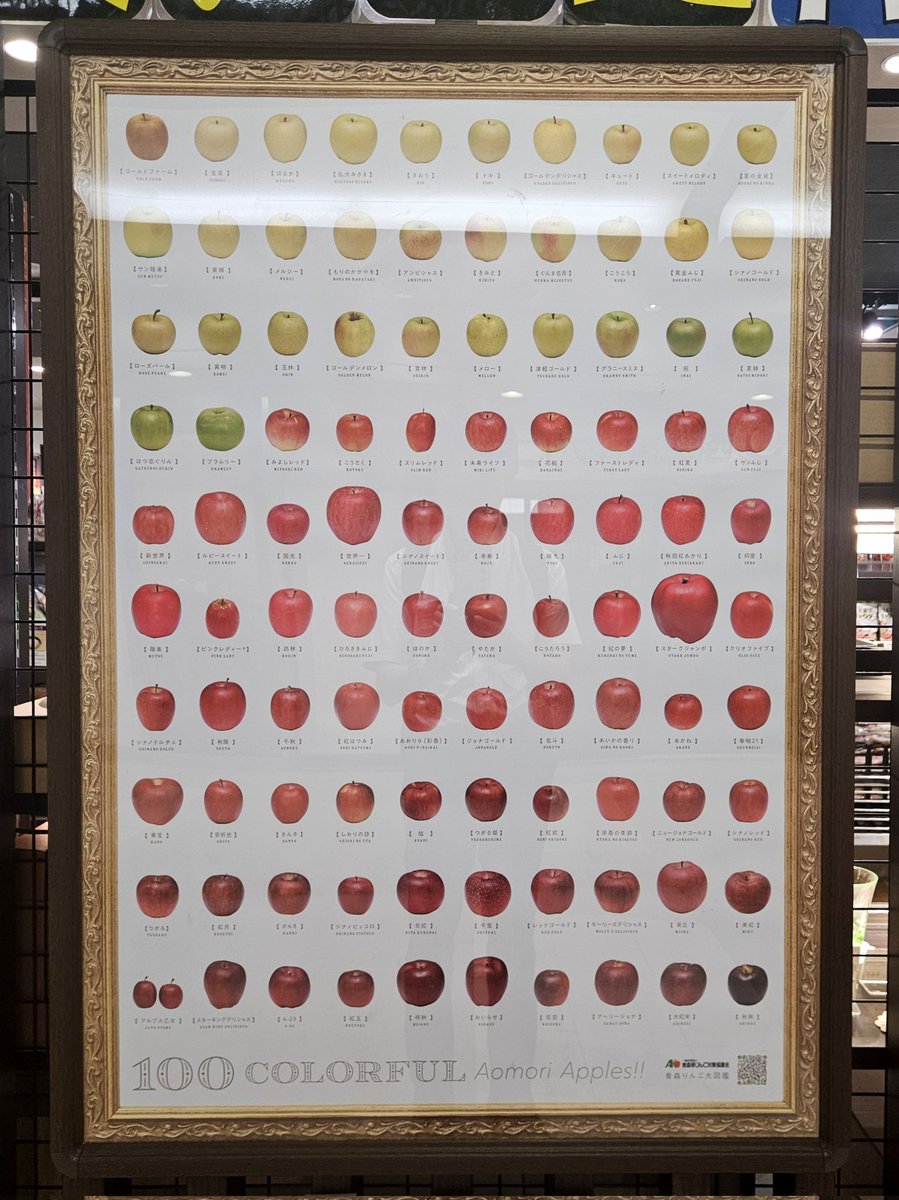 青森のりんごのポスター、全部違う品種のりんご100個でグラデーション