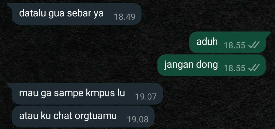 putri erlina tweet media