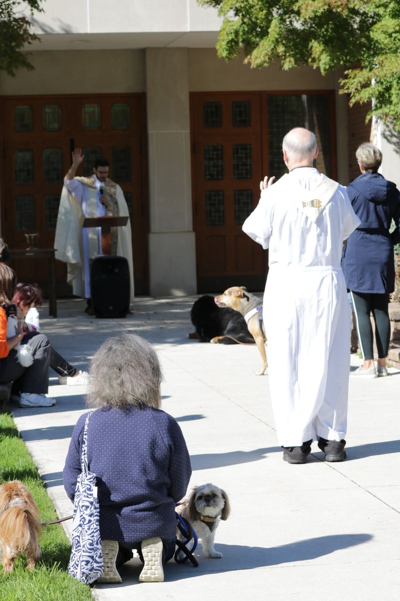 Photos from this past weekend's Pet Blessing in honor of St. Francis of Assisi! 🐾