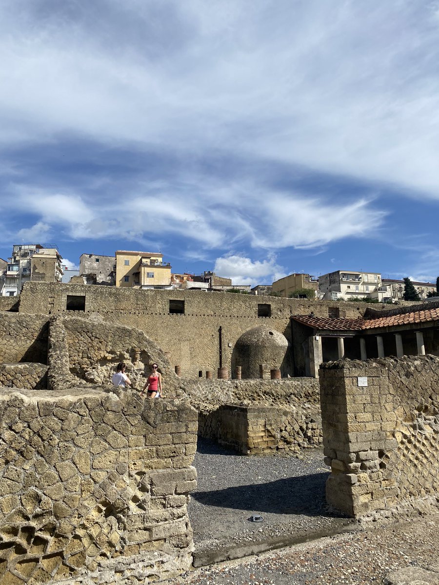 WGS Geography tweet media