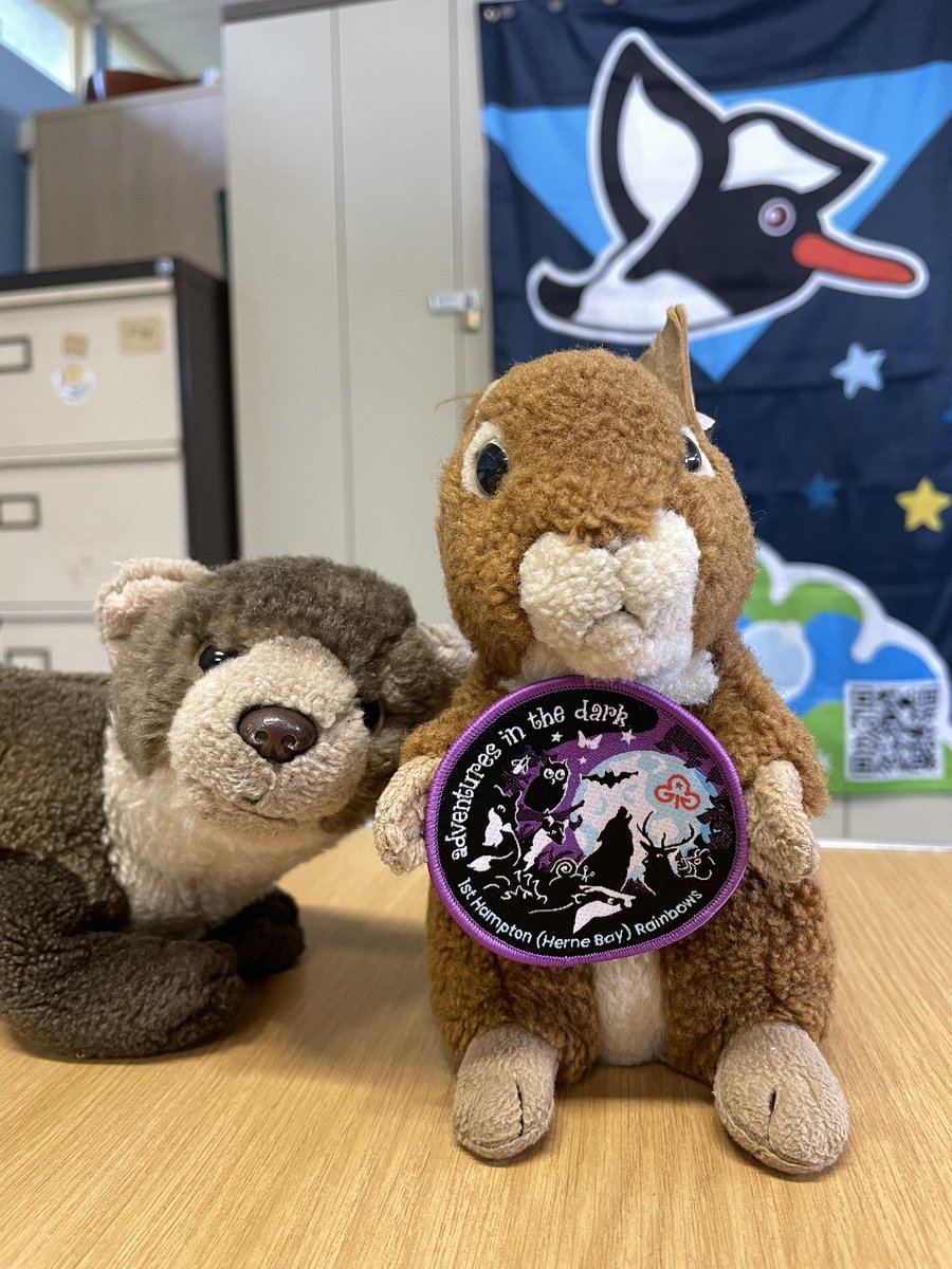 The brand new Adventures in the dark badge from <a href="/1stHampton/">1st Hampton (Herne Bay) Rainbows</a> Rainbows! #girlguiding