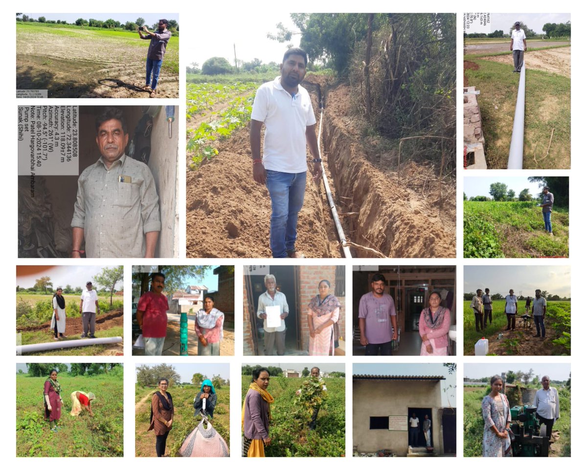 ઊંઝા તાલુકા ખેતીવાડી સ્ટાફ દ્વારા   નેનો ફર્ટિલાઇઝર વિતરણ, પંપસેટ અને વોટર કેરીંગ પાઇપલાઇન સ્થળ ચકાસણી, PM કિસાન યોજના અંતર્ગત e kyc કામગીરી કરવામાં આવી જેમાં e kyc,અને નેનો ફર્ટીલાઈઝર બાબતે જાણકારી આપવામાં આવી 
<a href="/ddo_mehsana/">DDO Mehsana</a>
<a href="/CollectorMeh/">Collector Mehsana</a> 
<a href="/CMOGuj/">CMO Gujarat</a> 
<a href="/PMOIndia/">PMO India</a>