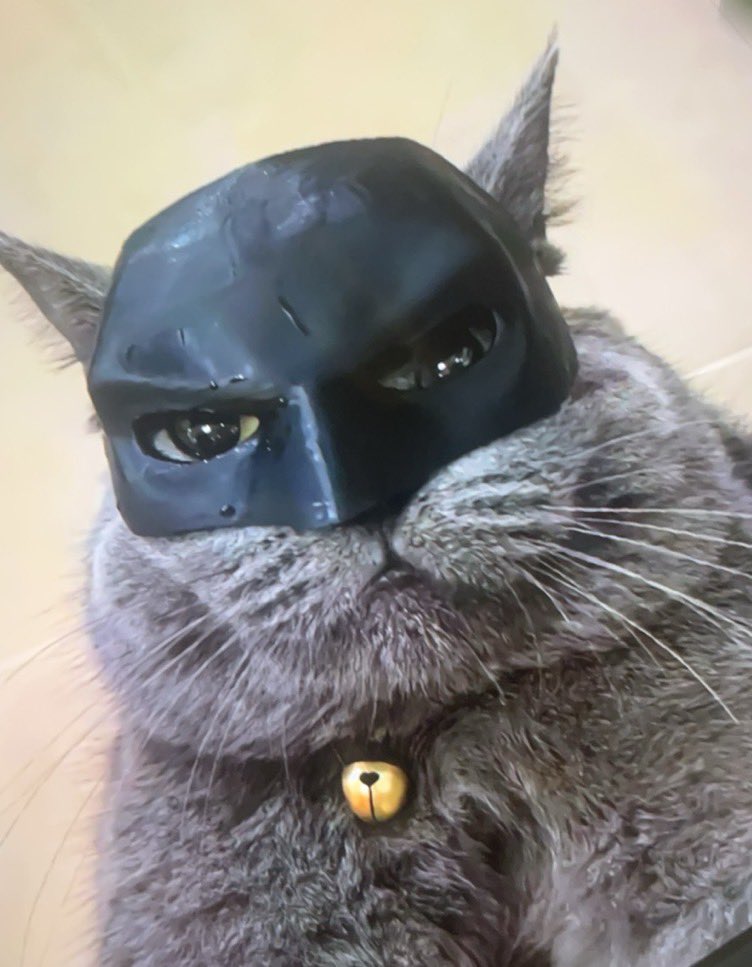 @PunchingCat hi https://t.co/s7wDASv5fr