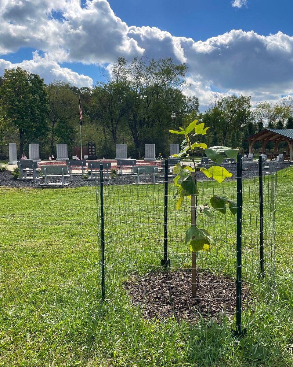 Grand Lodge of Pennsylvania F&AM (@pagrandlodge) on Twitter photo More Liberty Trees were planted this week in Butler and Greene Counties through our partnership with <a href="/America250_PA/">America250PA</a>! Thanks to everyone involved with the plantings and dedications.
๐ท: 26th Masonic Dist. and <a href="/VisitGreene/">Visit Greene County PA</a> More Liberty Trees were planted this week in Butler and Greene Counties through our partnership with <a href="/America250_PA/">America250PA</a>! Thanks to everyone involved with the plantings and dedications.
๐ท: 26th Masonic Dist. and <a href="/VisitGreene/">Visit Greene County PA</a>