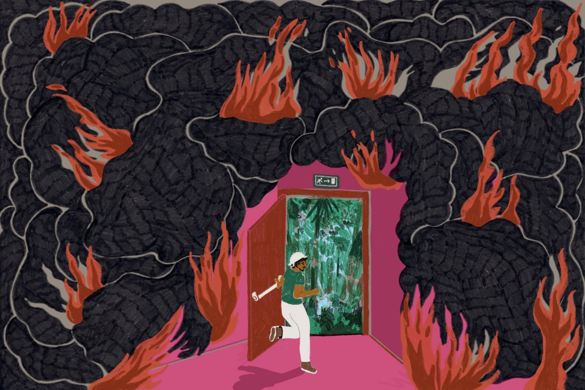 🔥O Brasil arde em chamas: só em agosto deste ano, o volume de queimadas foi uma vez e meia maior do que ocorreu no mesmo mês do ano passado. O fogo que atrapalha a vida de pelo menos 10 milhões de brasileiros compromete a biodiversidade. O que será das árvores engolidas por ele