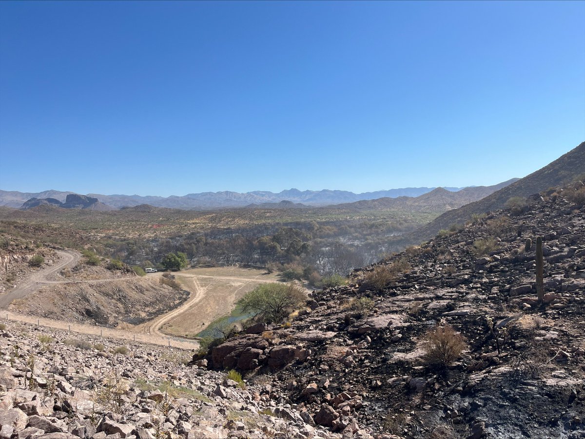 TontoForest's tweet photo. Fire update: #WhitlowFire is 90% contained and remains at 218 acres. The community of Queen Valley was placed back into READY status on Sunday, Oct. 6.
A local Type 5 Incident Mangement Organization and one engine are still patrolling and monitoring the fire perimeter. #TontoNF https://t.co/lh6YbwuPgj