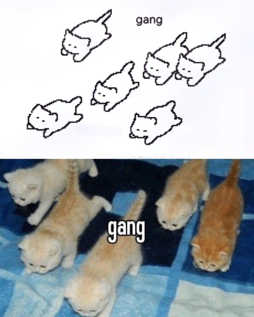 gang
