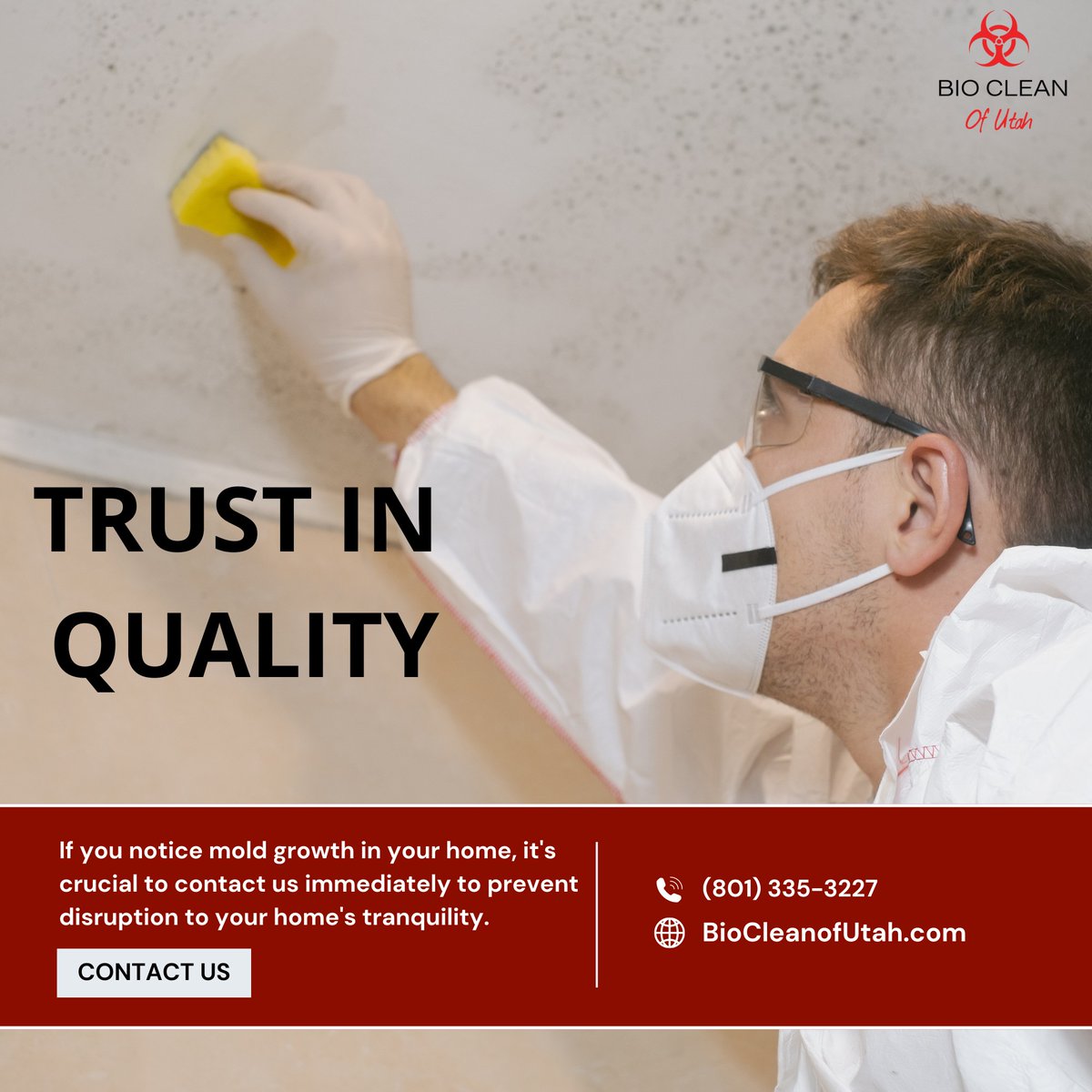 Biocleanofutah's tweet photo. This Indoor Toxic Mold Awareness Month, remember, your home's safety is in good hands with our professional mold remediation services. Ensure a mold-free space with us. 🏠🔬 
https://t.co/vJNmuWXELG 
#MoldAwareness #HealthyHome https://t.co/bAFCNmFhaZ