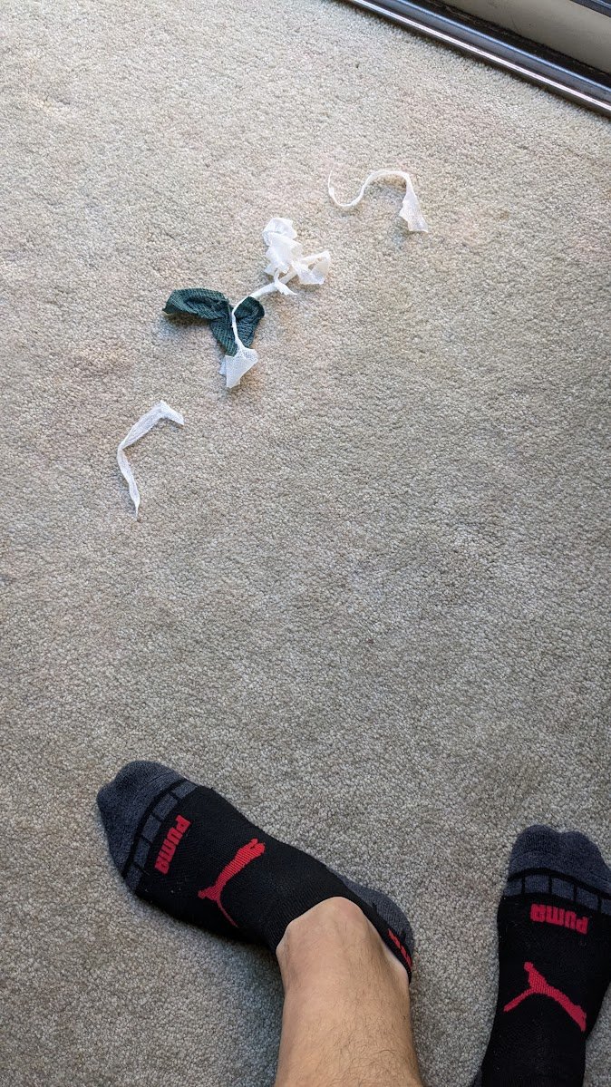 OptionsMike's tweet photo. Evidently "His Grace" decided he had enough of his bandage...
#LIFEOFDUKE https://t.co/7VkdWBR6iX