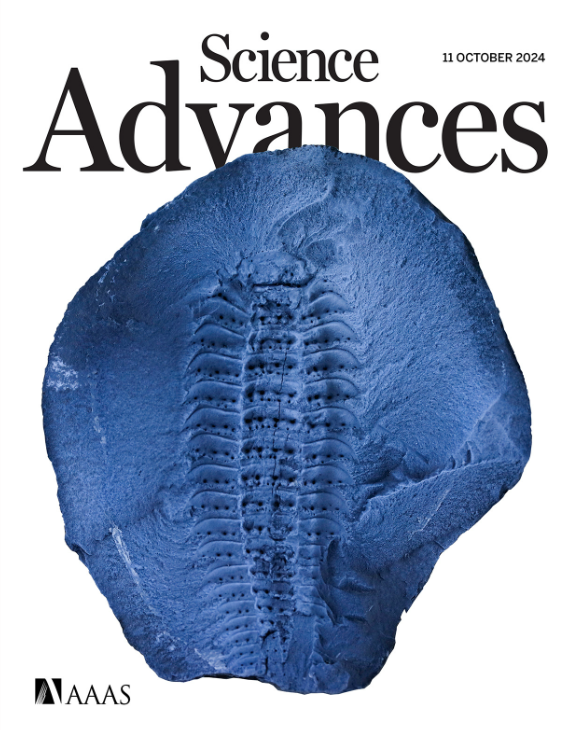 Science Advances (@scienceadvances) on Twitter photo New research offers a more complete view of Arthropleura’s background, opening the door to answering remaining questions about the arthropod’s diet and habitat. 
 
Learn more in this week’s issue of Science Advances: bit.ly/4dFc0j6 New research offers a more complete view of Arthropleura’s background, opening the door to answering remaining questions about the arthropod’s diet and habitat. 
 
Learn more in this week’s issue of Science Advances: bit.ly/4dFc0j6
