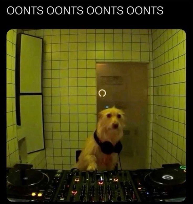 ︎ ︎ ︎ ︎ ︎ ︎ ︎ ︎ ︎ ︎ ︎ ︎ ︎ ︎ ︎ ︎ ︎ ︎ ︎ ︎ ︎ ︎ ︎ ︎ ︎ ︎ ︎ ︎ ︎ ︎ ︎ ︎ ︎ ︎ ︎ ︎ ︎