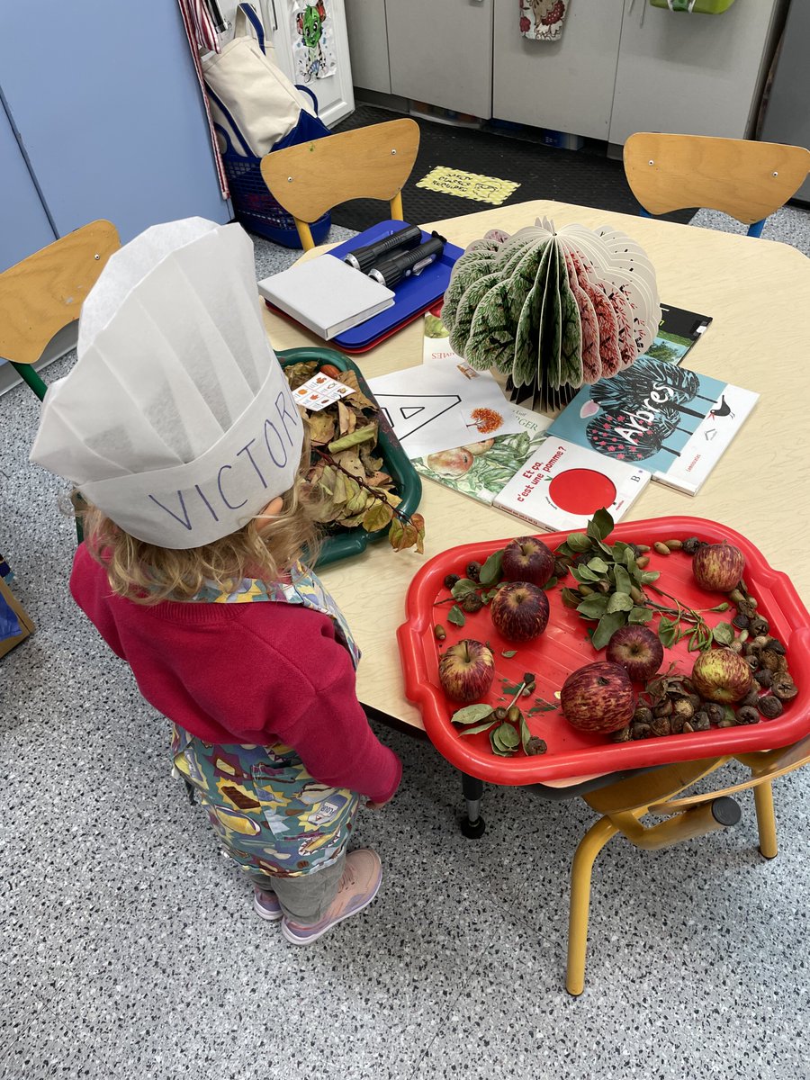 Formation au Lycée Français de San Francisco : échanges riches autour des espaces d'apprentissages, de la flexibilité et des plans de travail. Merci à l'équipe de direction et aux enseignants ! #Innovation #Autonomie #TempsDActivitéRéel #PratiquesLangagières #Maternelle