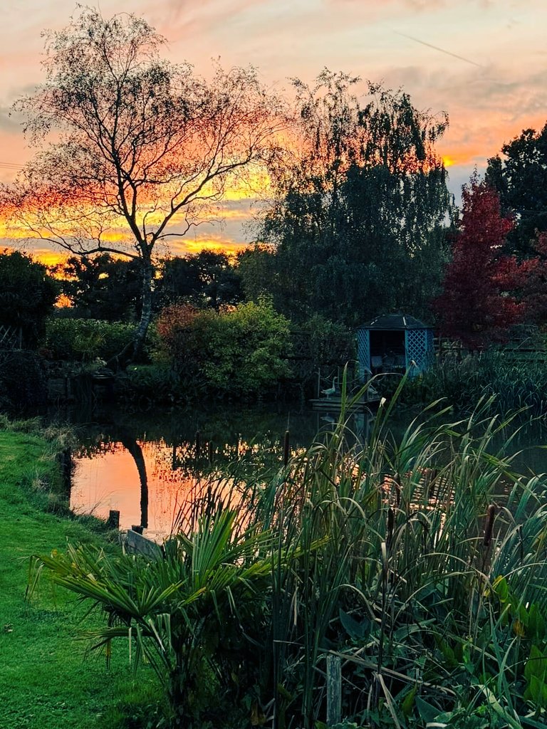 Jess Conrad OBE tweet media