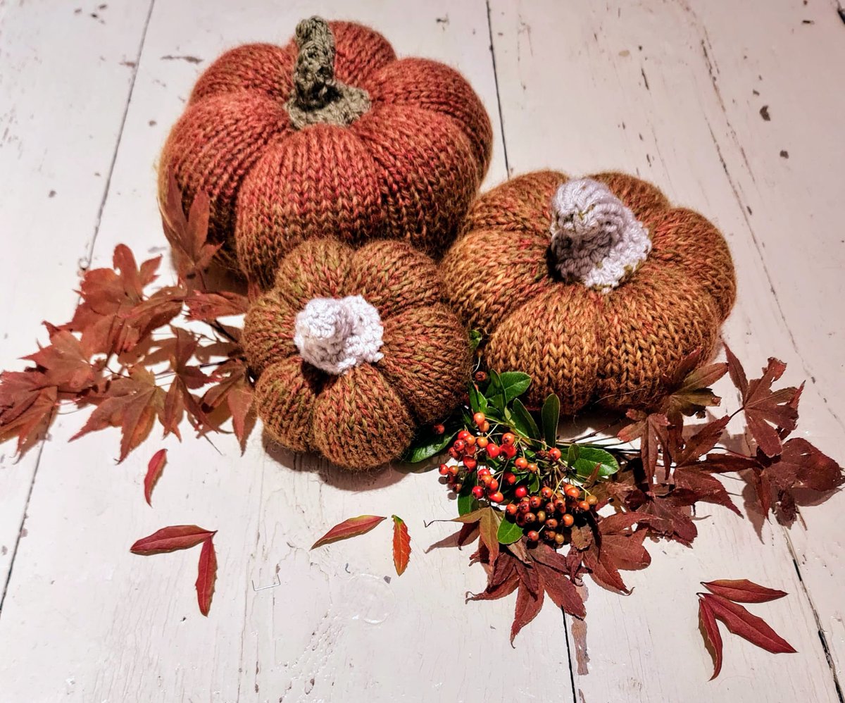 Greek Animal Rescue tweet media