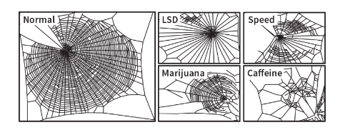 PropositoyVida's tweet photo. En la década de 1980, la NASA realizó un estudio sobre las arañas.

Las expusieron a cafeína, LSD, marihuana y speed, y luego observaron cómo tejían sus telarañas.

La cafeína era, con diferencia, la peor droga. https://t.co/LSDQeLuGmm