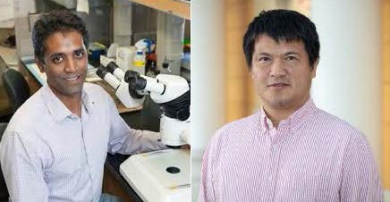 Center for Cell Plasticity and Organ Design (@um_cpod) on Twitter photo <a href="/UM_CPOD/">Center for Cell Plasticity and Organ Design</a> congratulates CPOD Members Sundeep Kalantry & <a href="/longhua_guo/">Longhua Guo</a> on their prestigious NIH awards!
Read more about their research & NIH awards written by Kelly Malcom of The University Record: record.umich.edu/articles/threeā¦
#GoBlueMed <a href="/UM_CPOD/">Center for Cell Plasticity and Organ Design</a> congratulates CPOD Members Sundeep Kalantry & <a href="/longhua_guo/">Longhua Guo</a> on their prestigious NIH awards!
Read more about their research & NIH awards written by Kelly Malcom of The University Record: record.umich.edu/articles/threeā¦
#GoBlueMed