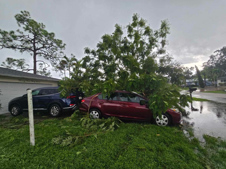 Taylor Petras tweet media