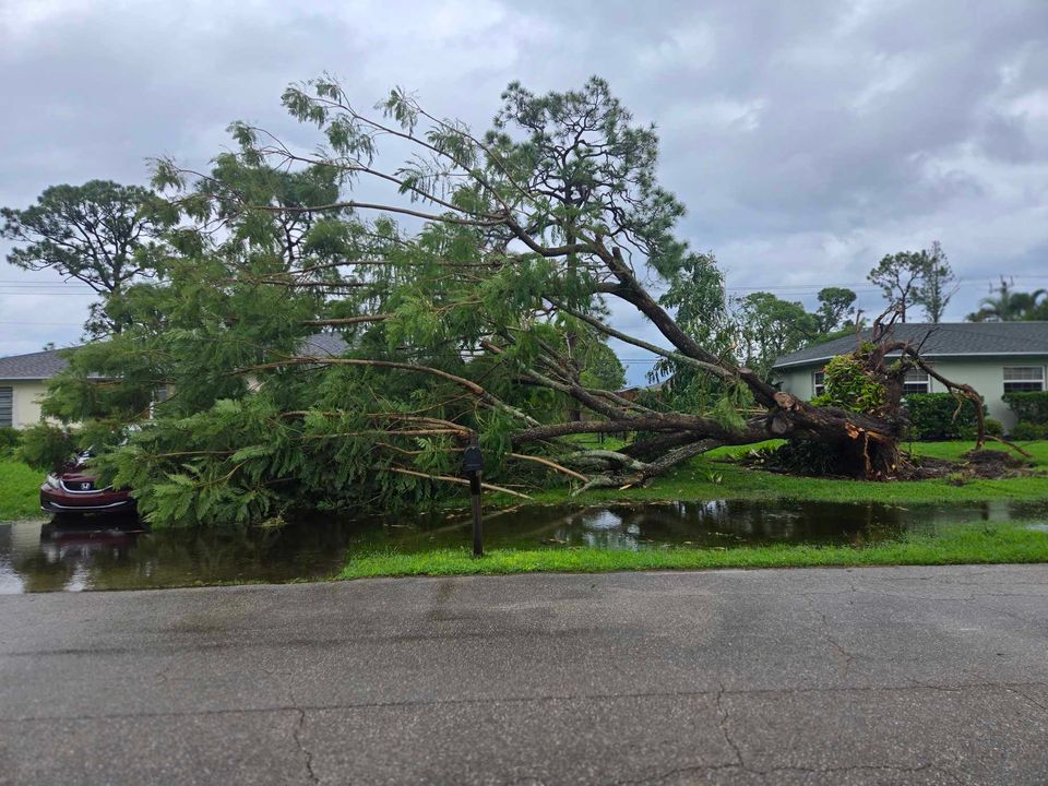 Seeing damage from #HurricaneMilton in The Villas neighborhood in south Fort Myers. A tree uprooted as our <a href="/winknews/">WINK News</a> Weather Team was tracking several tornado warnings across SWFL.

📸: Lindsay Danley
