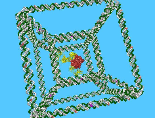 Congratulations to the winners of the Nobel prizes in Chemistry and Physics!
At #Parabon, our nanotechnologists are thrilled to be working atop the shoulders of these intellectual giants.