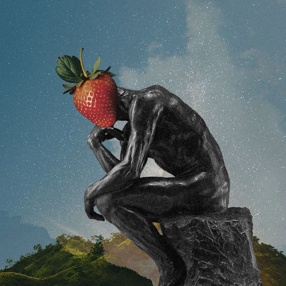 Sonya Huang 🐥 tweet media