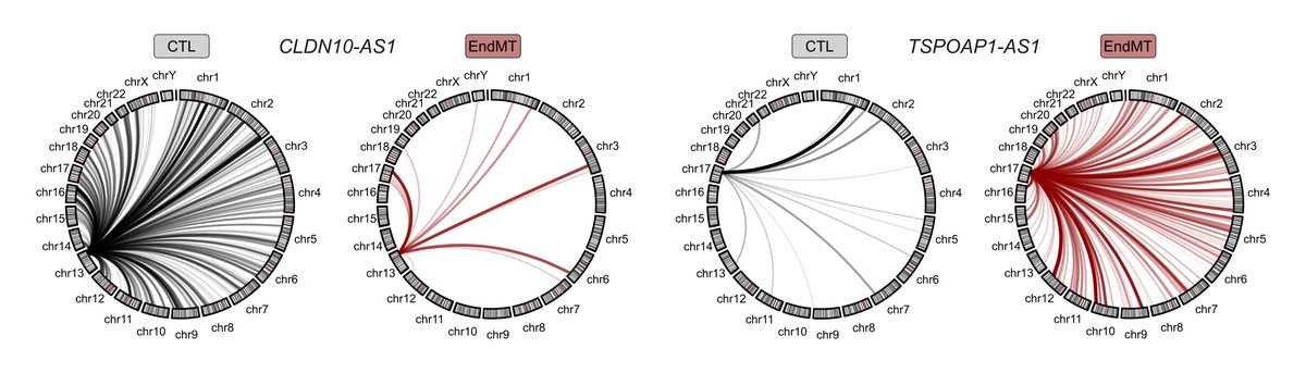 Tim Warwick tweet media