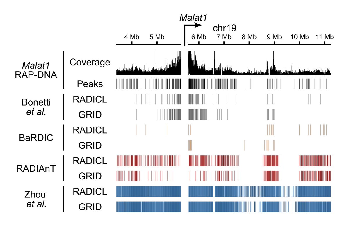 Tim Warwick tweet media