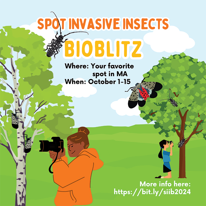 Harvard Forest (@harvardforest) on Twitter photo 📢MA friends! 🪲🐛🌳Our partners at <a href="/MassDeptAgr/">Massachusetts Department of Agricultural Resources</a> is having an invasive species BioBlitz thru Oct 15. 🤓Help collect data on invasive insects for use in a global biodiversity database. Nerd out by submitting pics of egg masses, tunnels, frass, etc! 💩
massnrc.org/pests/blog/?p=… 📢MA friends! 🪲🐛🌳Our partners at <a href="/MassDeptAgr/">Massachusetts Department of Agricultural Resources</a> is having an invasive species BioBlitz thru Oct 15. 🤓Help collect data on invasive insects for use in a global biodiversity database. Nerd out by submitting pics of egg masses, tunnels, frass, etc! 💩
massnrc.org/pests/blog/?p=…