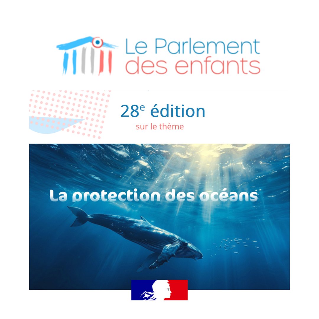 ⚖ Le Parlement des enfants invite les classes de CM2 et 6e à rédiger une proposition de loi pour œuvrer à la protection des océans.

Une action #EMC qui permet de découvrir le rôle du législateur en participant à un exercice démocratique original ✍ eduscol.education.fr/3310/le-parlem…