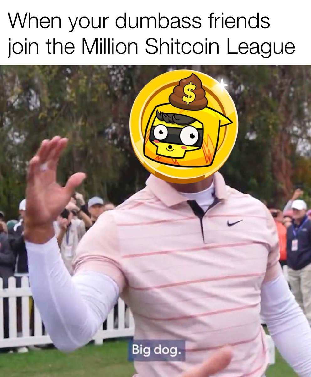 BoinkersIO's tweet photo. When your dumbass friends join the Million Shitcoin League 💩 https://t.co/Cgku2F83yT