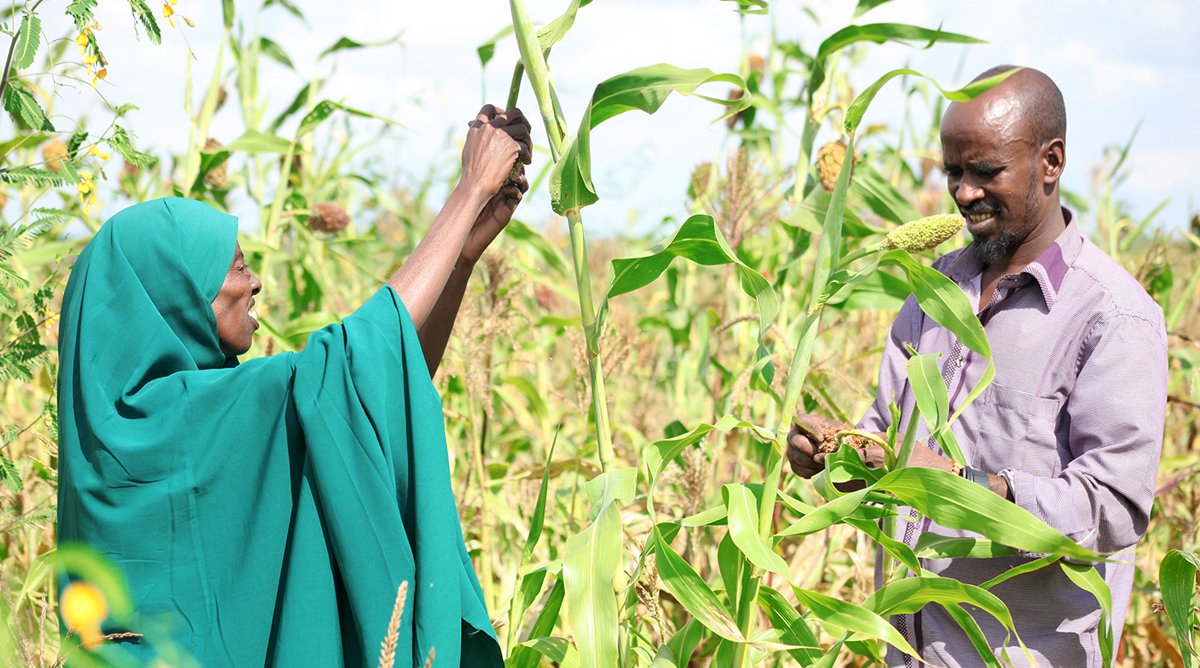 FAO in New York (@faonewyork) on Twitter photo Agriculture is highly vulnerable to climate hazards like ☀️droughts, 🌊floods and 🌡️heatwaves.
Early action is crucial to protect #FoodSecurity.
Find out how <a href="/WMO/">World Meteorological Organization</a> & <a href="/FAO/">Food and Agriculture Organization</a> are partnering to enhance early warnings for agriculture.
👉 bit.ly/FAOWMO_EW4ALL
#EarlyWarningsForAll Agriculture is highly vulnerable to climate hazards like ☀️droughts, 🌊floods and 🌡️heatwaves.
Early action is crucial to protect #FoodSecurity.
Find out how <a href="/WMO/">World Meteorological Organization</a> & <a href="/FAO/">Food and Agriculture Organization</a> are partnering to enhance early warnings for agriculture.
👉 bit.ly/FAOWMO_EW4ALL
#EarlyWarningsForAll