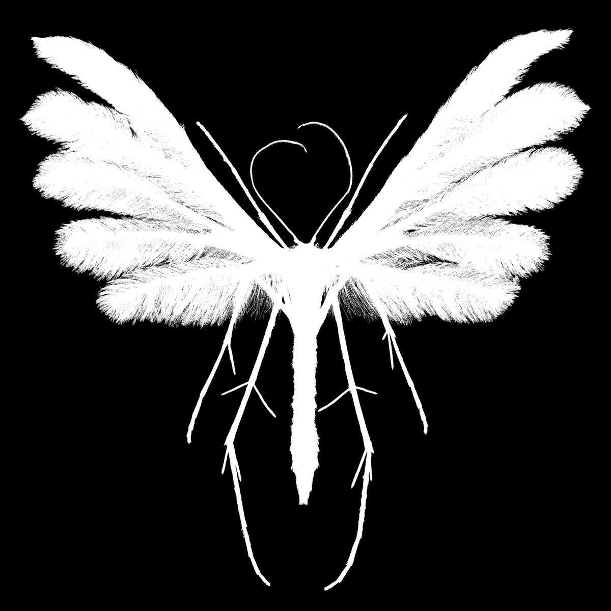 Thorben Danke tweet media