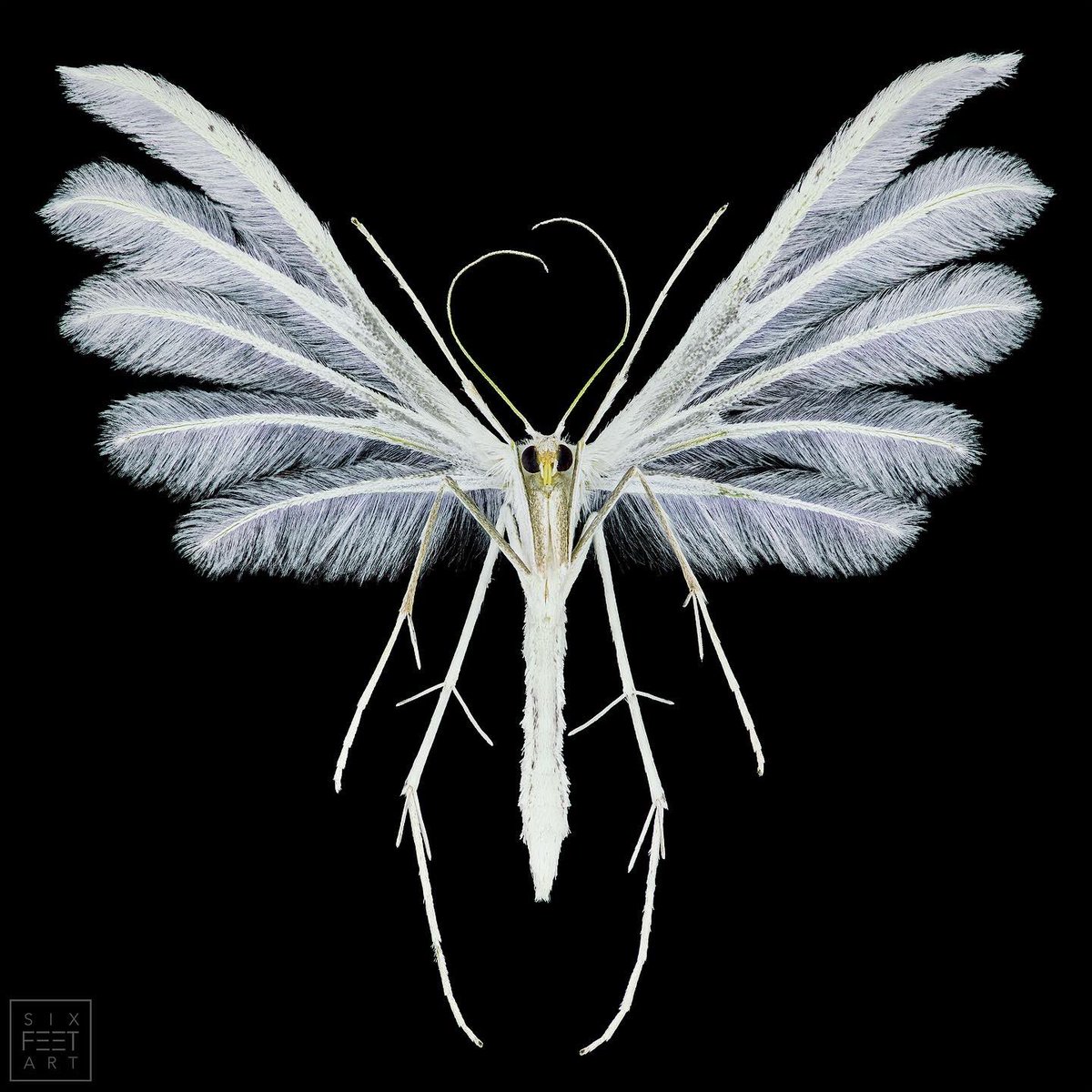 Thorben Danke tweet media