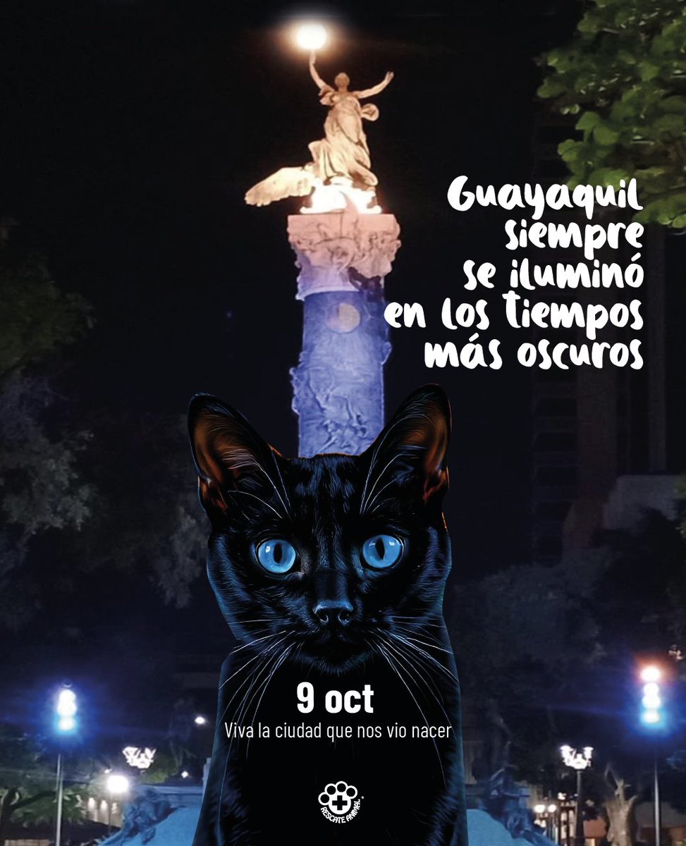 RescateAnimalEC's tweet photo. Un saludo a la tierrita que nos vio nacer.
Guayaquil y el país volverán a brillar. 
#9deOctubre #guanCATvilkas #Apagones https://t.co/9cjzJIjolG
