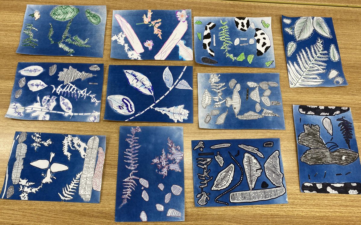 St. Joseph's N.S. tweet media