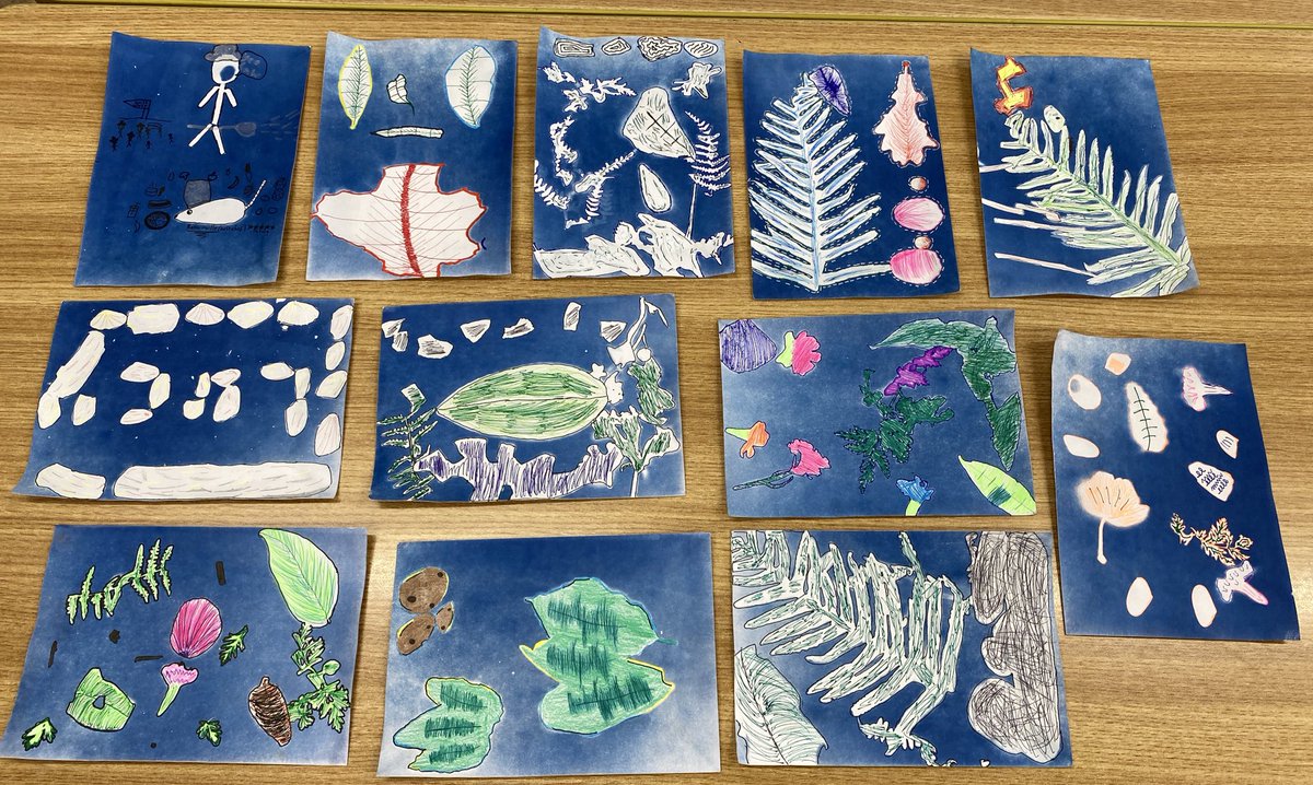 St. Joseph's N.S. tweet media