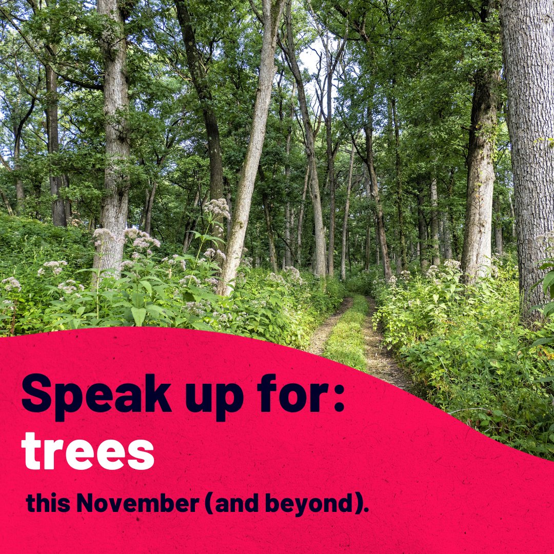 Your voice is crucial. During national and location elections, remember to speak up for the future you want. Here’s how: nature.org/en-us/get-invo…