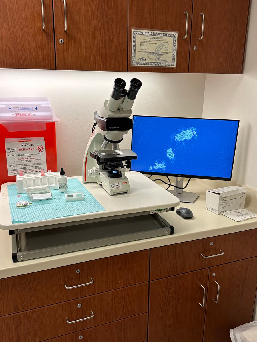 MicroscopesI's tweet photo. In addition to all the new students, University of Pennsylvania Student Health also welcomed this new @LeicaMicro DM750 and i5 camera to their lab!  This microscope is equipped with phase contrast to better see unstained cells.

#Leica #microscope #phasecontrast https://t.co/7eTq4FNK2F