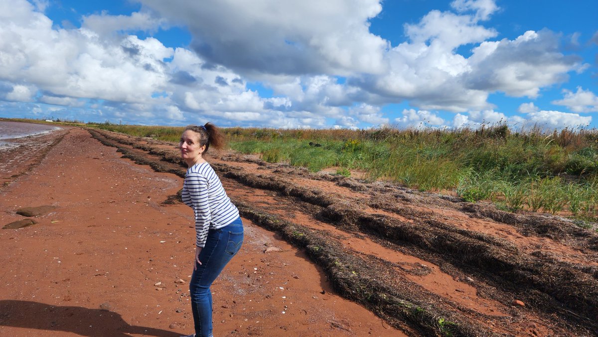 simonbennettx's tweet photo. @wolsned Wifey being wifey, Lockshore, pei 🇨🇦 https://t.co/8NS7n09F0O