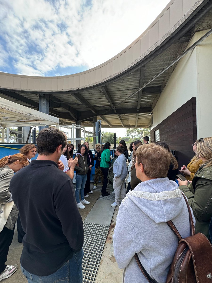 Università di Corsica tweet media
