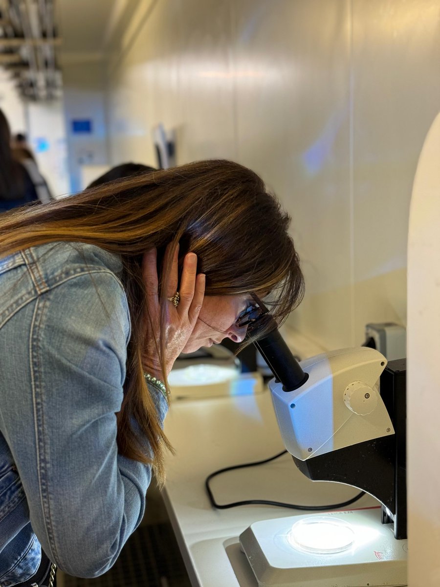 Università di Corsica tweet media