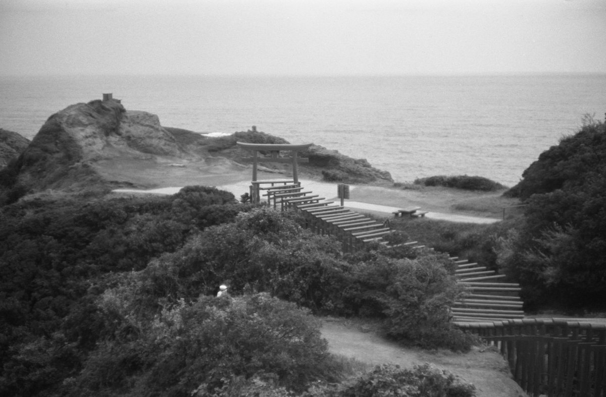grm811's tweet photo. 瀬戸内海から日本海まで
#leica #m3 #summarit50f15 #marix  #bw200 #photography #filmphotography https://t.co/kyIv5kdqOe