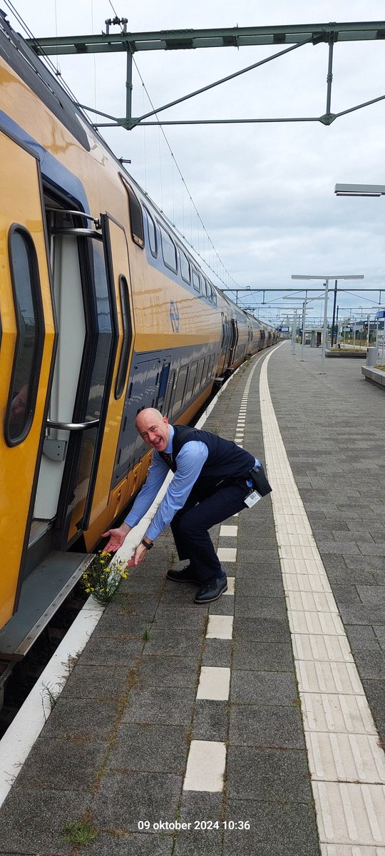 No Context Dutch 🇳🇱 (@nocontextdutch1) on Twitter photo 