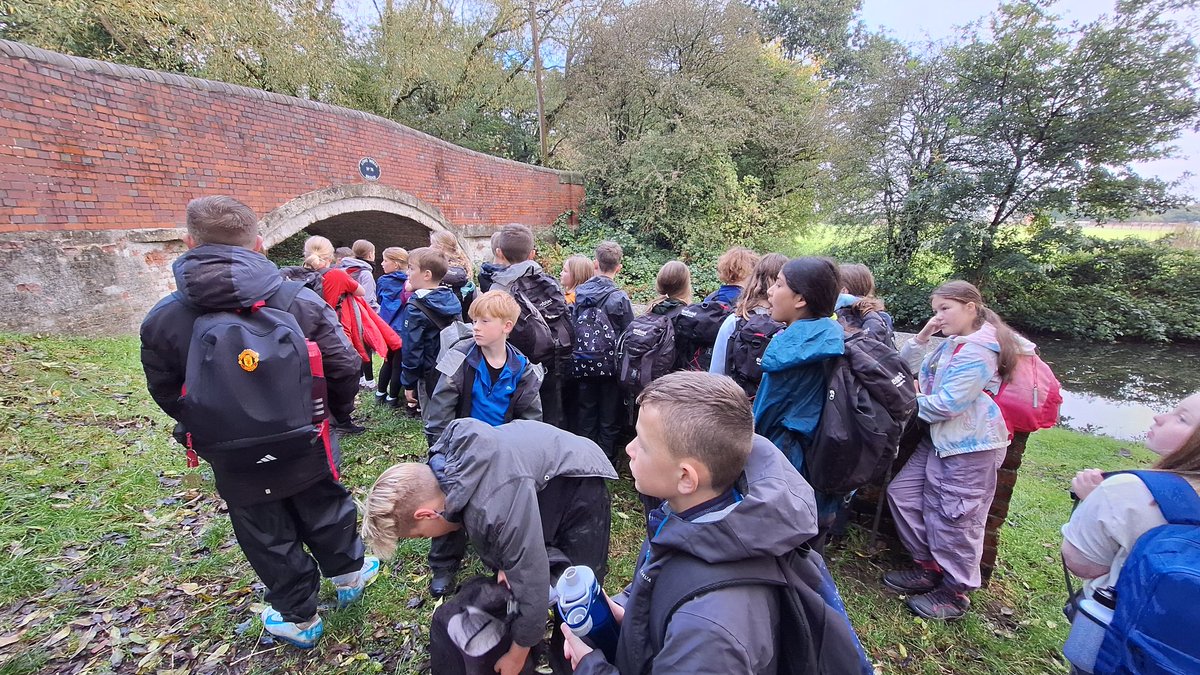 Millfield Primary School tweet media