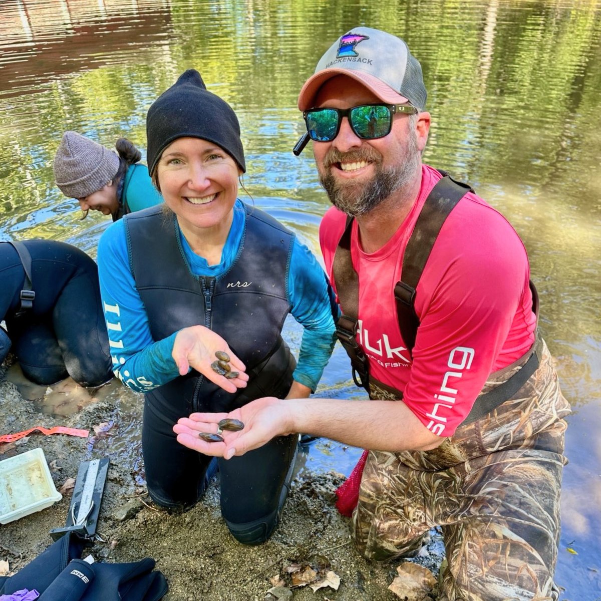 PrairieResInst's tweet image. 📢 Exciting News! For the first time in nearly 120 years, @Mark_A_Davis79 and Sarah Douglass at the @INHSIllinois have found the state-endangered Salamander Mussel alive in Illinois! 🦪 More: loom.ly/ueWR75g
#Conservation #EndangeredSpecies