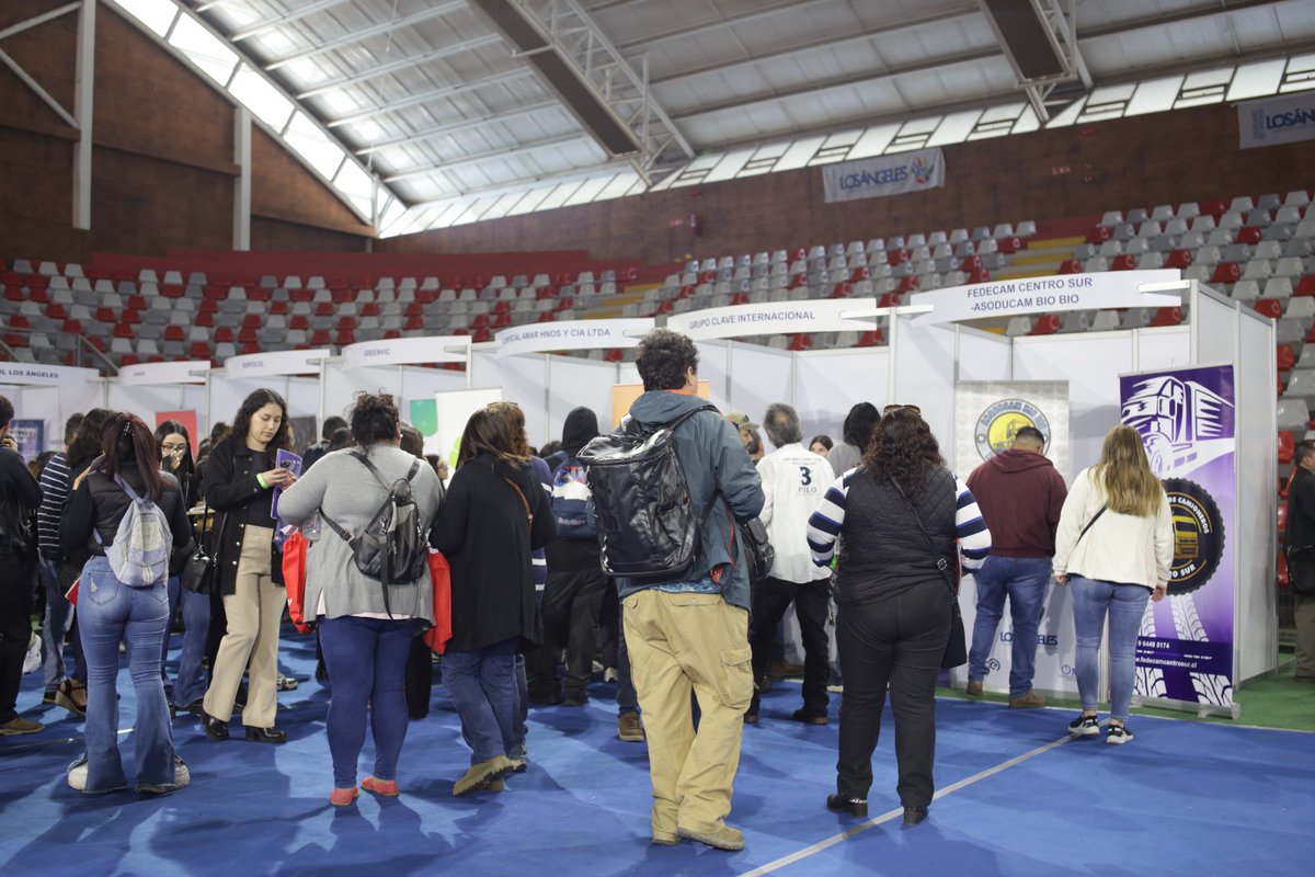 Sence Biobío tweet media