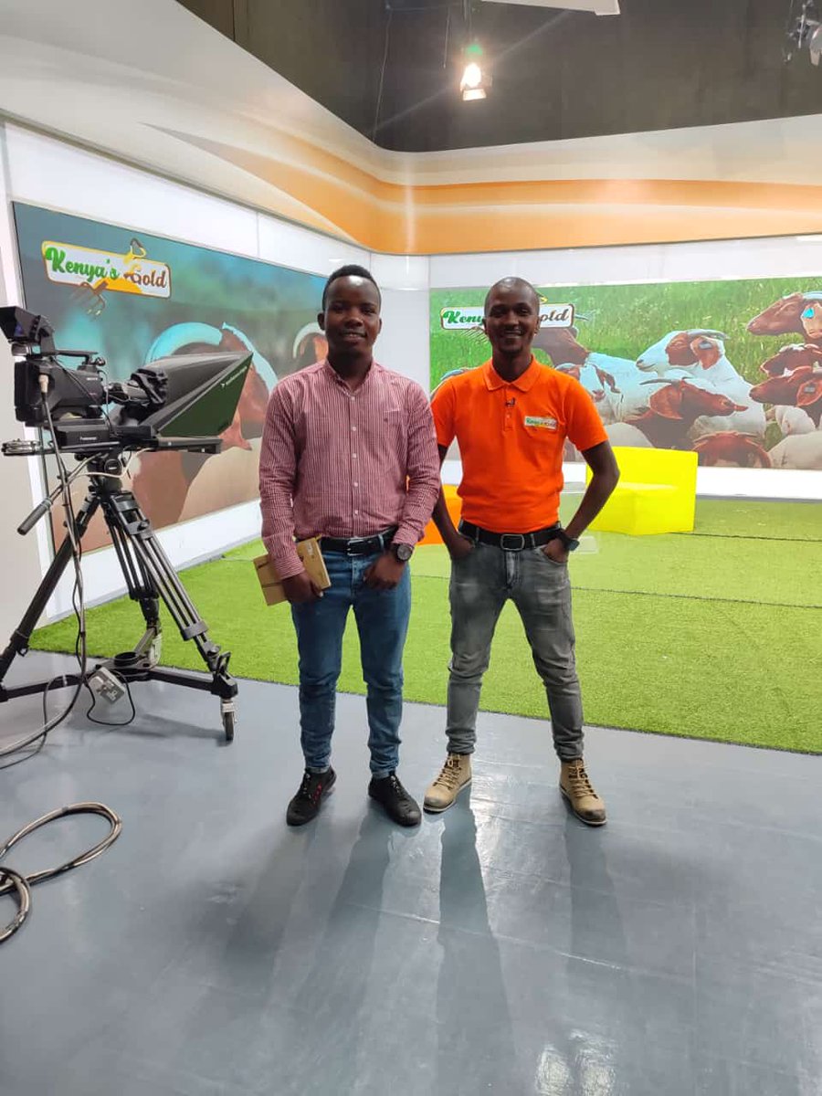 lenna_kibet's tweet photo. Today Citizen TV

6p.m to 7 p.m Kenya's Gold https://t.co/iLSjMIRSCn