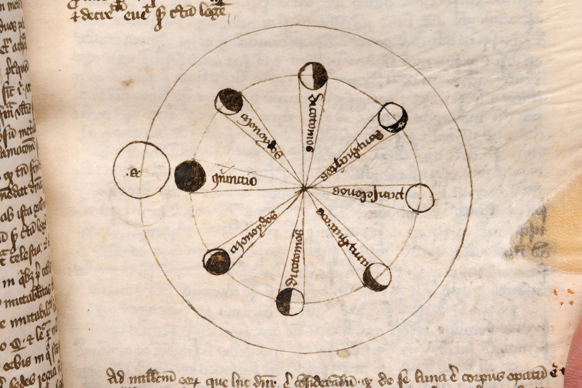 Have you booked your place for Library Treasures: Unexpected Worlds on Thursday 24 October?

To find more information and book your place, visit our website: herefordcathedral.org/news/library-t…