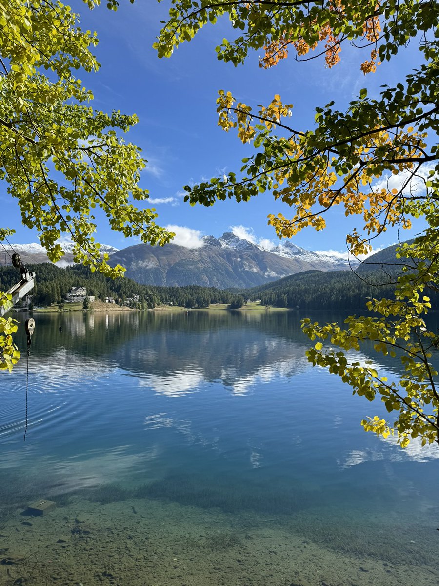 lupostmoritz's tweet photo. Colours speak a language that we (should) understand … https://t.co/PmKC2ymUF7