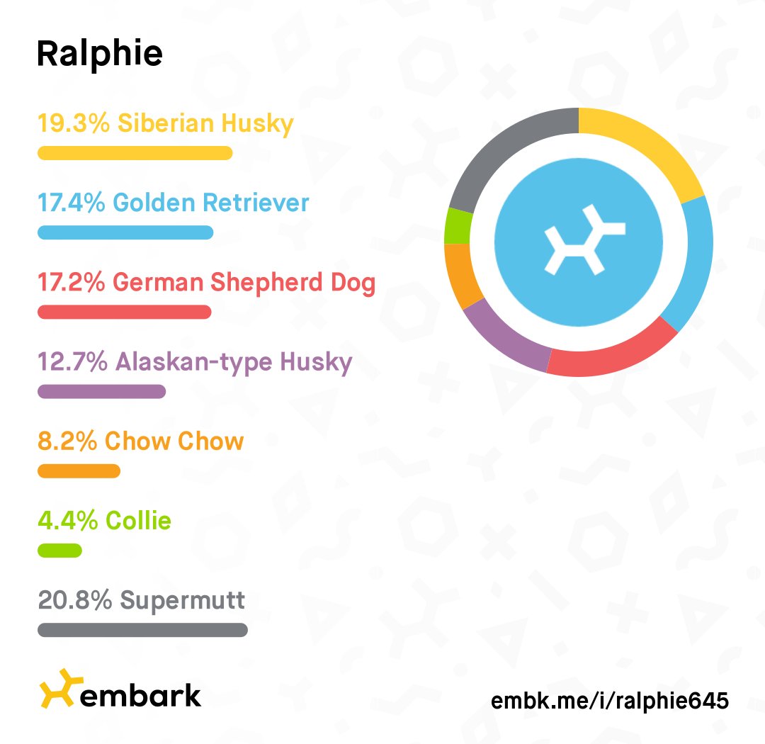 Glonkable🍁 tweet media