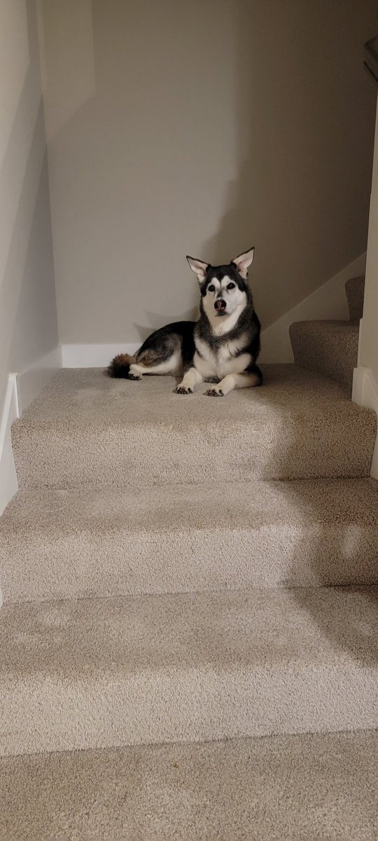 Glonkable🍁 tweet media